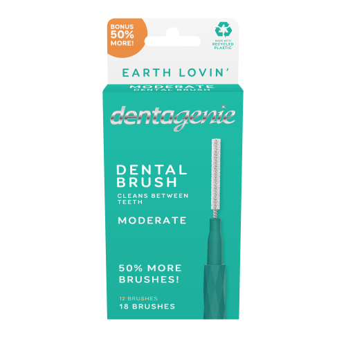 Dental Brush Moderate
